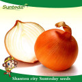 Suntoday vegetable органическое сад Ф1 купить онлайн желтые семена лука длительного хранения поставщик(81003)